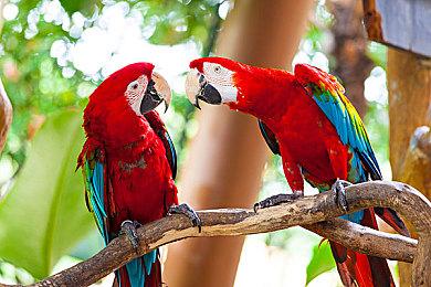 《勇者斗恶龙3：HD-2D重制版》预告 新要素介绍